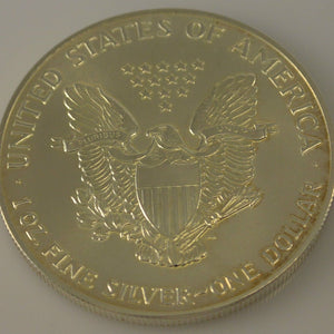 STATI UNITI 1 Dollaro American Eagle Moneta d'argento 1992 1 Oz. 1 Oz 999/1000